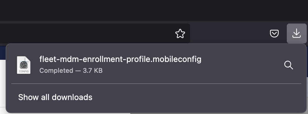 Downloaded MDM profile from Firefox